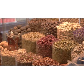 mySuccus Indian Borage (Mexican Mint) Tincture- Respiratory Support