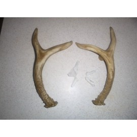 Wind River Set of 2 Cabin Lodge 9 1/4" Faux Deer Antler Cabinet Pull Right Left Wind River