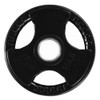 SFE Black Rubber Grip Plates (New) - Size: 10lb