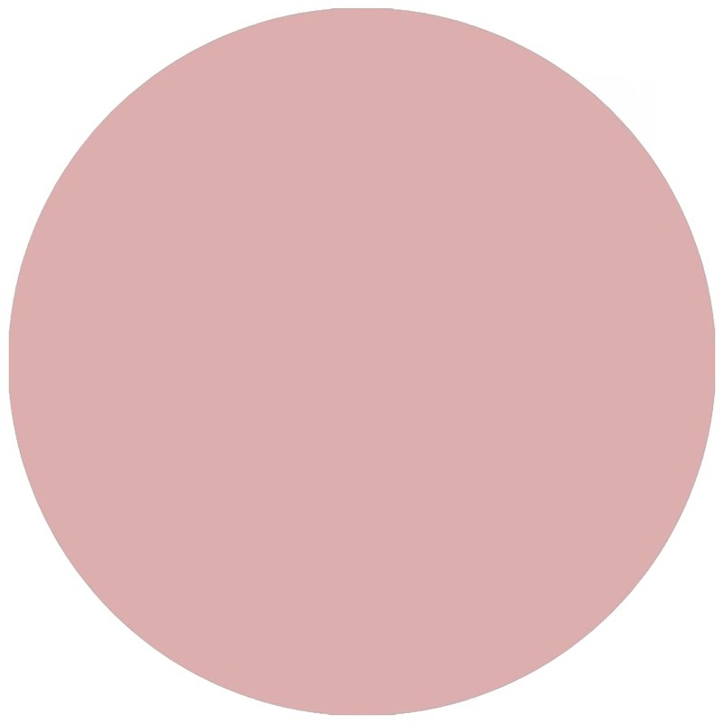 alessandro Hybrid Varnish Rococo Garden Scandalous Rose – In Just