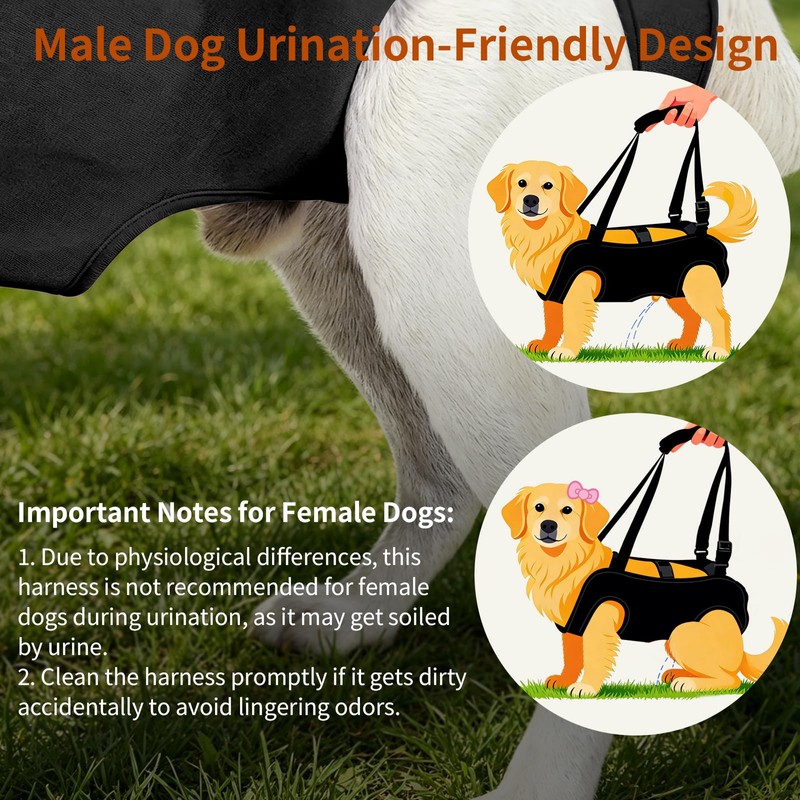 Mayerzon Full Body Dog Lift Harness, Support Senior & Disabled