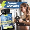 Magnesium Ashwagandha Cortisol Management Supplement with Theanine - Helps stabilize mind and body, 1 piece / 마그네슘 아슈와간다 테아닌 함유 코르티솔 관리 보조제 - 심신 안정에 도움, 1개