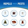 Cutter Backwoods Insect Repellent (12 Pack), Repels Mosquitos for Up