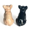 Lesser & Pavey Salt & Pepper Set for All Types
