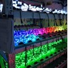 REXTiN® WS2811 Pixels Digital Addressable LED String Lights Waterproof RGB