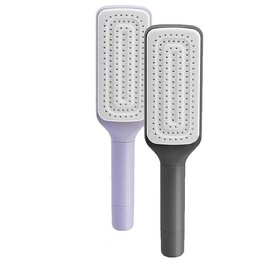 Shuoteng Master Self Cleaning Hair Brush, 2Pcs Brush Master Self-Cleaning Hairbrushes, One-Click Anti-Static Retractable Hair Brush with Rotating Handle