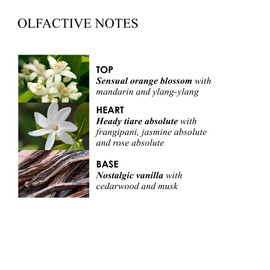 Molton Brown Flora Luminare Hand Lotion 300 ml