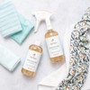 Clean Mama Laundry Detergent Spray & Pre-Treater - Natural Laundry