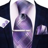 Hi-Tie Classic Mens Silk Ties Set 4 PCS Necktie Pocket