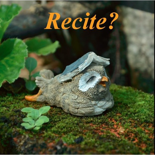 Gemmia Miniature Book Lover Figurine- Mini Reciting Owl Statue