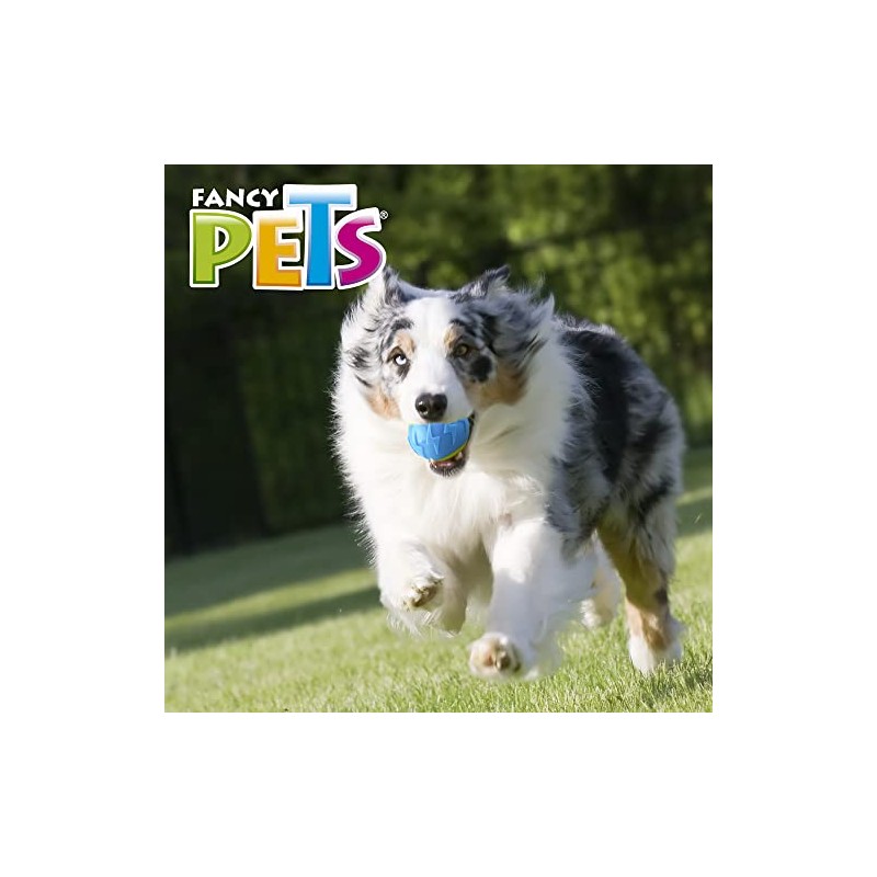 Fancy Pets Pelota Flash con Sonido Fetch para Perros, Tamaño