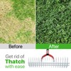 Thatch Rake, 15-inch Lawn Dethatcher Rake, Metal Lawn Rake for