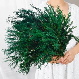 Oning 4.5OZ Preserved Real Pine Christmas Greenery Stem Branches -17'' Natural Norfolk Plants Twigs Stems Pine Needles Evergreen for Garland Wreath Wedding Home Party Decor Indoor Outdoor Decoration