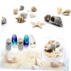 Ipetboom Elegant Sea Shell Nail Art Decorations Set 3D Shell
