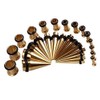 LionGothic Gold Ear Stretching Kit Plugs & Tapers Ion plated Set 28pc Gauges 12g-0g