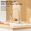 GAGALIFE Chrome Kitchen Faucet with Pull Down Sprayer - High