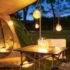 ROSHWEY Solar Lantern, 2 Pack Outdoor Lanterns with 30 LED