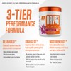 Dry Scoop Ballistic Supps Extreme Pre-Workout for Men and Women,