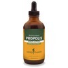 Herb Pharm Propolis Liquid Extract for Immune System Support -