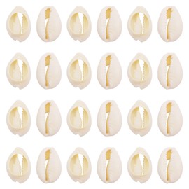 GraceAngie 100pcs Natural Spiral Sea Beach Cowrie Shell Beads for Micro View Home Decor DIY Craft Jewelry Making Accessories (White 20mm-25mm)