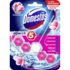 Domestos Power 5 Pink Magnolia Toilet Stone 55 ml Pack