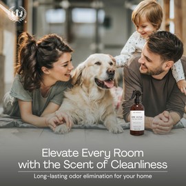 Muse Apothecary Home Ritual Active Odor Eliminator Spray - Furniture Deodorizer Spray & Bathroom Odor Eliminator for Home - Essential Oil Air Freshener - 4oz, Ocean Air