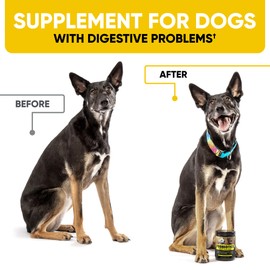 Probiotics Chews for Dogs w/Digestive Enzymes - Dog Probiotics to Support Gut Health, Alleviate Dog Itch, Soothe Itchy Skin, Dog Allergy Relief - Good for Immunity & Dog Itching Skin Relief -180 ct