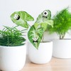 BOXOB Whimsical 12pcs Green PVC Plant Decorative Magnets