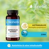 Astragalus Capsules - Pack of 200 High Dose with 300