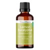 Viva Doria Lemon Eucalyptus Essential Oil, 100% Pure, Natural, Lemon-Eucalyptus