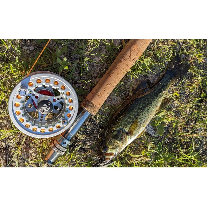 Kylebooker Fliegenfischrolle große Laube mit Aluminium-Körper Fliegenrolle (5/6wt,Silver)