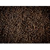 Peugeot Kampot Black Peppercorns from Cambodia, 60g - 3 fresh