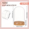 BENECREAT Glass Display Dome with Cork Base, 2 Sets, 11.8x8cm