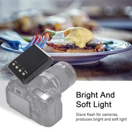 On Camera Flash Speedlite Portable Digital Torch with Hot Shoe Mount for DSLR Cameras, Built-in Digital Slave and Automatic Pre-Flash Sensor, for Everyone