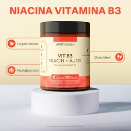 Vitamina B3 / Niacina y Ajo. Con 120 capsulas de 500mg (4 meses). VitalBotanics. Multivitaminico, Vitaminas. Suplementos Alimenticios. Libre de Gluten