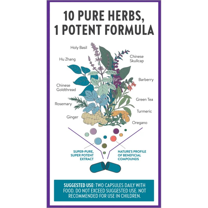 New Chapter Zyflamend Whole Body Joint Supplement, Herbal Pa