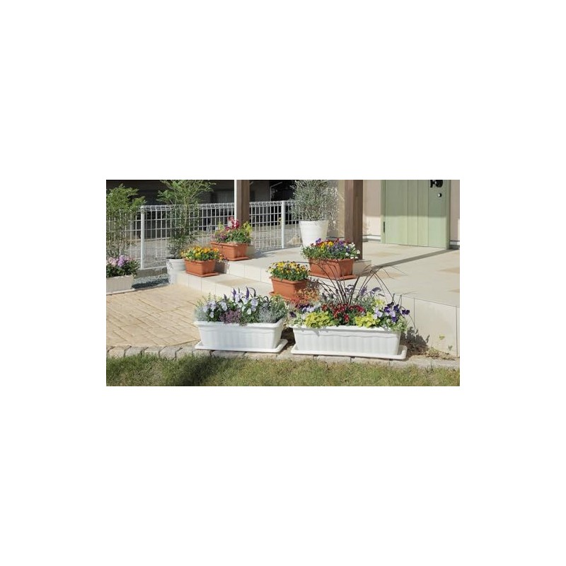 アップルウェアー Queen Planter 350型 Brown