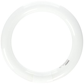 Satco S6501 6500K 22-Watt 4 Pin T9 Circline Lamp, Daylight