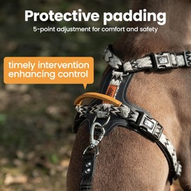 ANDA Easy Walk Dog Harness: Lightweight, Secure, and Comfortable, Balance Buckle-Neck Design, 5-Point Adjustable Harness with Handle for Daily Walks and Training (Medium)
