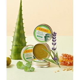 Burt's Bees Res-Q Ointment with Cica 17g 2 pieces