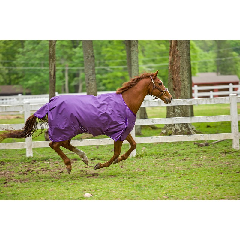TuffRider 1680D Super Comfy Medium 75 Purple