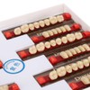 Resin Tooth Acrylic Resin Denture Teeth Dental Resin False Teeth