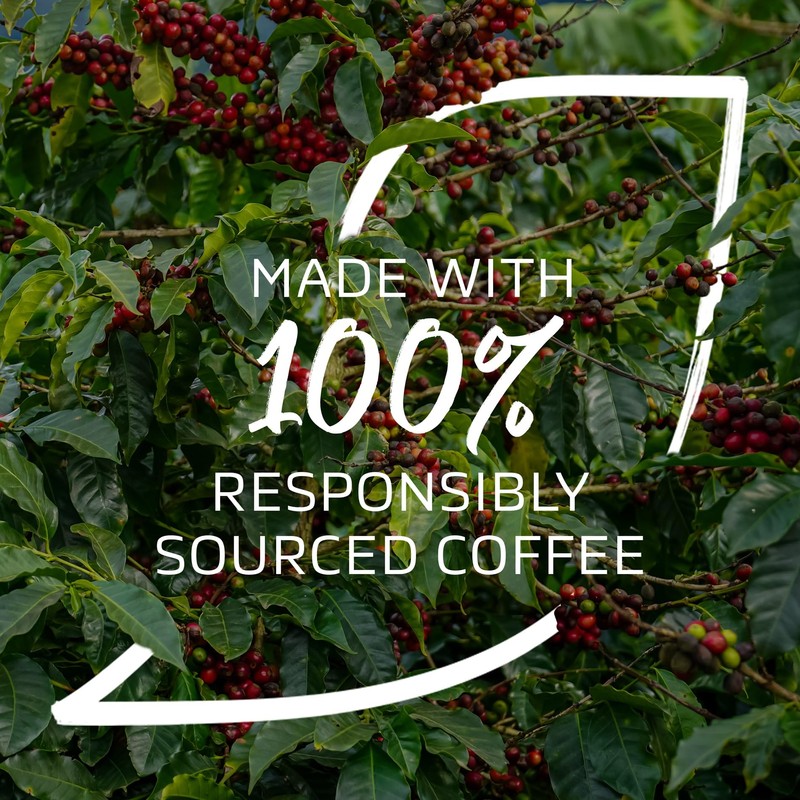 NESCAFÉ Gold Blend Instant Coffee 450g Refill