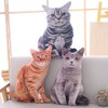 Maomoto 19.6''Cat Throw Pillow Cat Shape Cushion Throw Plushie Cushion