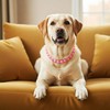 Ymapinc Chunky Pearl Pink Dog Collar, Adjustable Pearl Necklace for