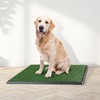 PETMAKER Artificial Grass Puppy Pee Pad for Dogs and Small Pets - 20x30 Reusable 4-Layer Training Potty Pad with Tray - Dog Housebreaking Supplies by PETMAKER, PET6200