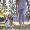 Friends Forever Extremely Durable Dog Rope Leash, Premium Quality Training