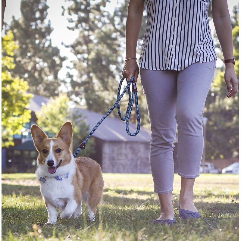 Friends Forever Extremely Durable Dog Rope Leash, Premium Quality Training