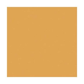 Rosco Cinegel Roscosun CTO, 20 x 24 inches Color Correction Lighting Filter