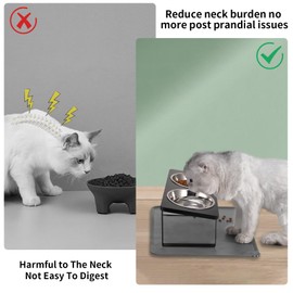 Upgraded Elevated Cat Bowls with Food Mat,15°Tilted Stand Anti Vomiting Raised Cat Dishes for Food and Water,2 Stainless Steel Bowls for Cats and Puppy（Black）